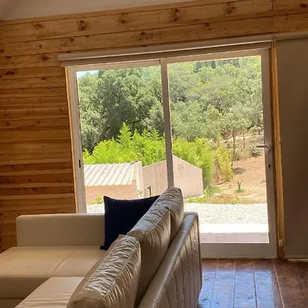 Falcoaria * Setúbal