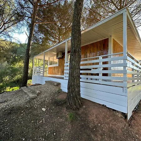 Falcoaria Parco vacanze Setúbal