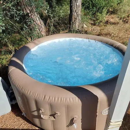 Falcoaria * Setúbal