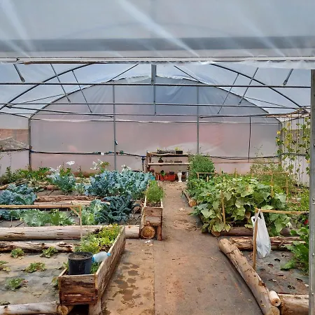 Parco vacanze Falcoaria *