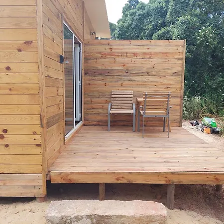 Falcoaria * Setúbal