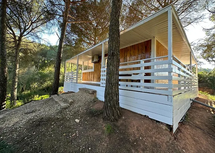 Falcoaria Vakantiepark Setúbal