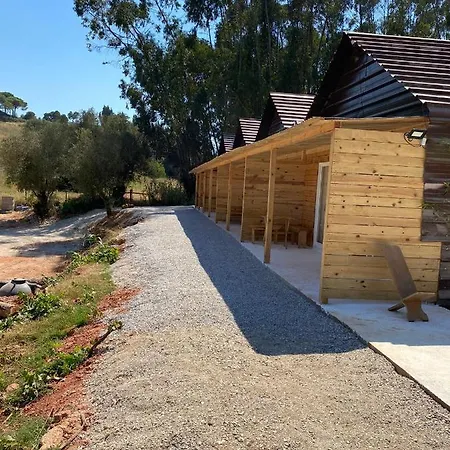 Falcoaria Holiday park *