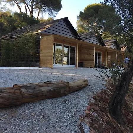 Falcoaria سيتوبال