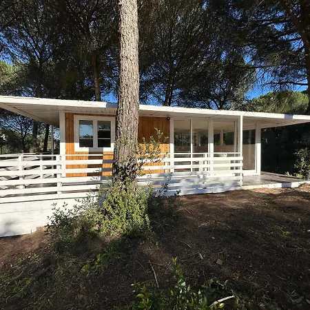 Falcoaria سيتوبال