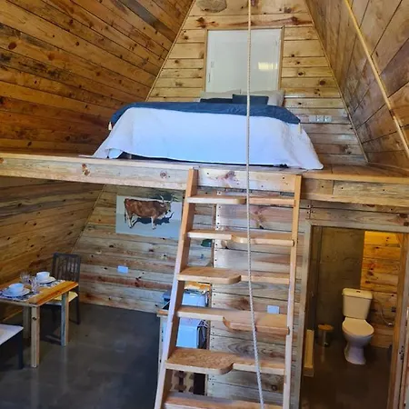 منتزه العطل Falcoaria *