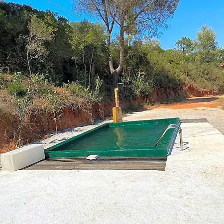 Falcoaria Setúbal