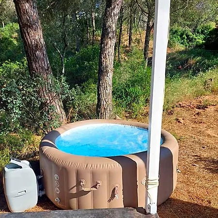 Falcoaria Tatil parkı Setúbal